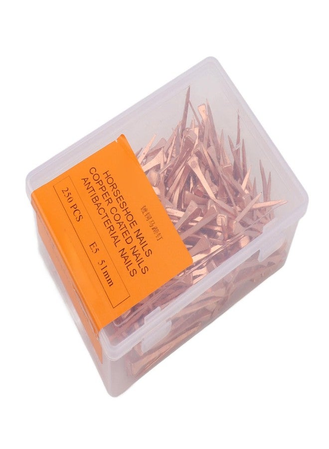 Jauarta 250Pcs Horseshoe Nails Copper Plated Rustproof Equestrian Riding Equipment Pet Supplies (51mm E5) - Image 1